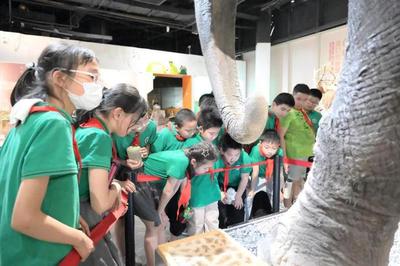 揭秘自然來信，共建綠色家園 | 青少年科學講壇引領(lǐng)自然探索新風尚